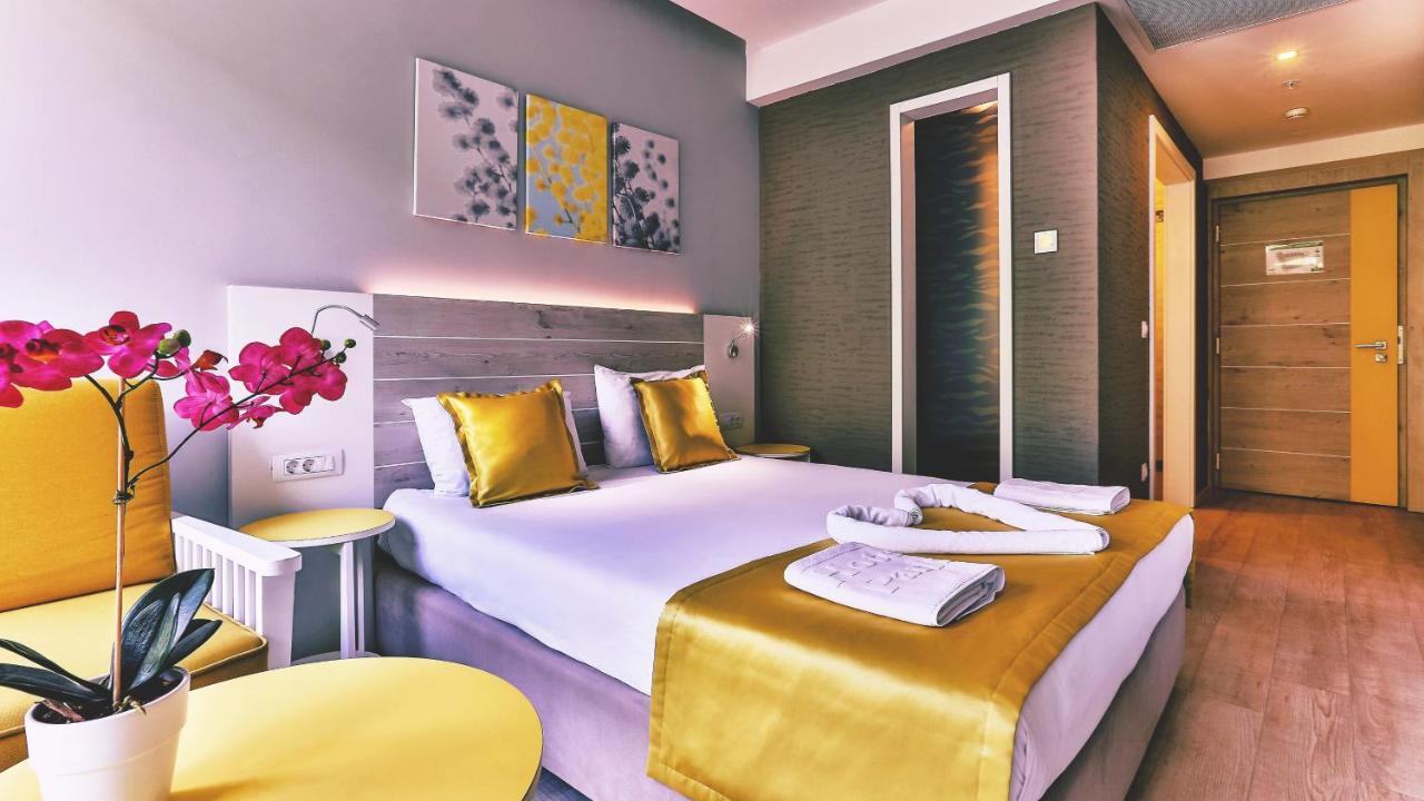 Double or Twin Room Mountain View