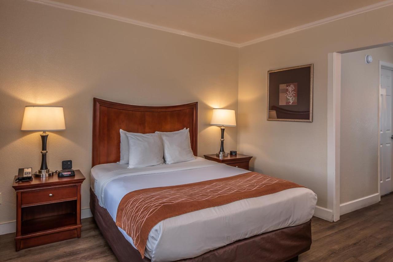 Chambre Lit Queen-Size