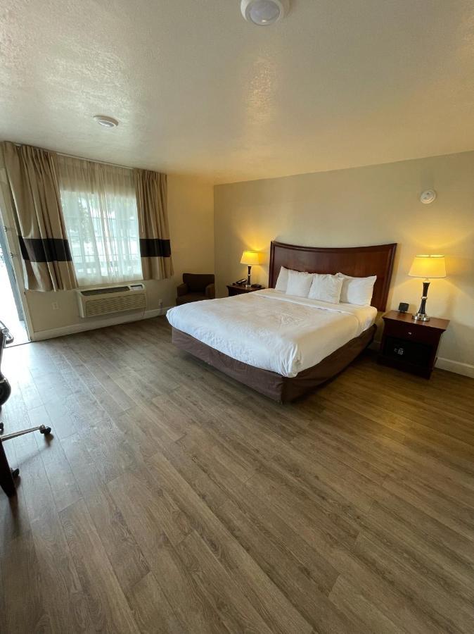 Chambre Lit King-Size - Accessible aux Personnes à Mobilité Réduite/Non-Fumeurs