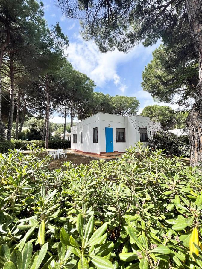 Studio,1349395816:JPEG