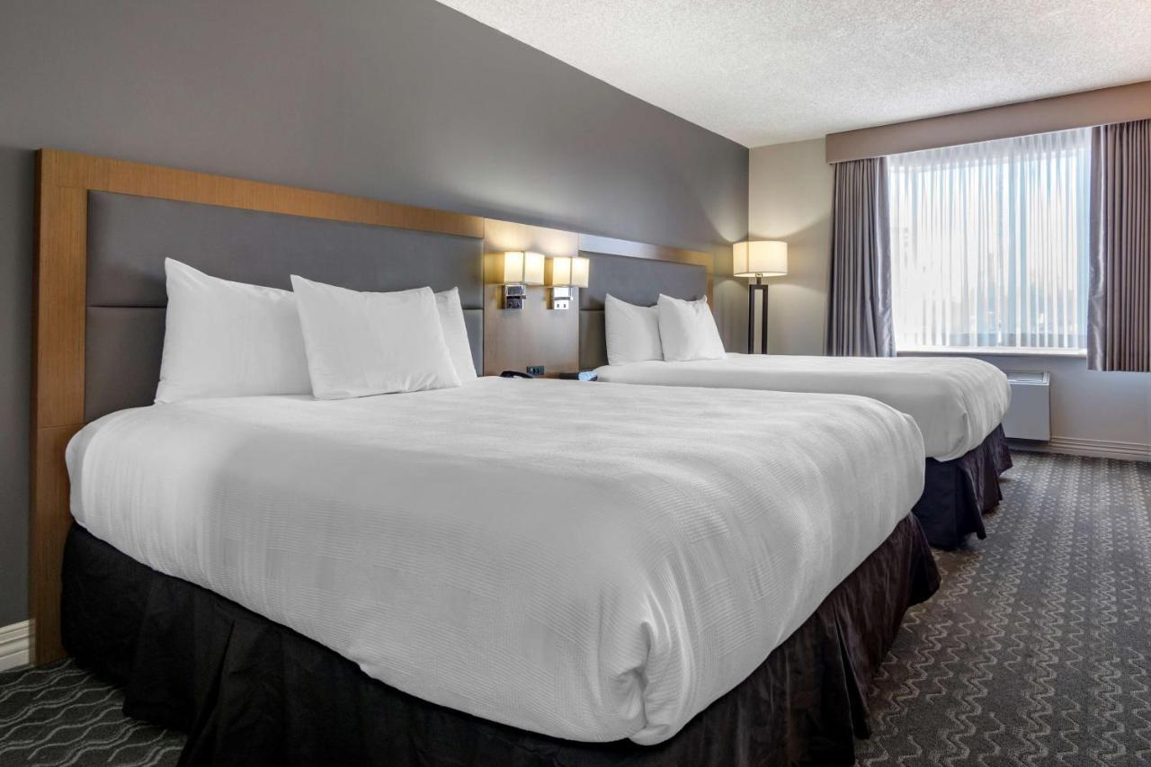 Executive Queen Room Two Queen Beds,1440668437:JPEG