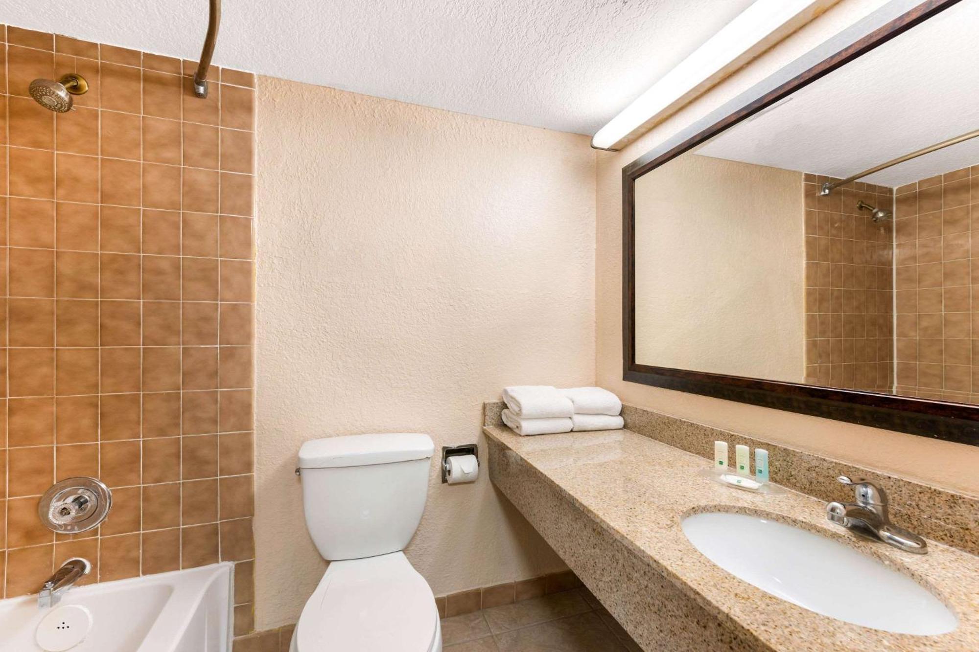 Suite 1 Chambre Lit Queen-Size avec Canapé-Lit - Non-Fumeurs