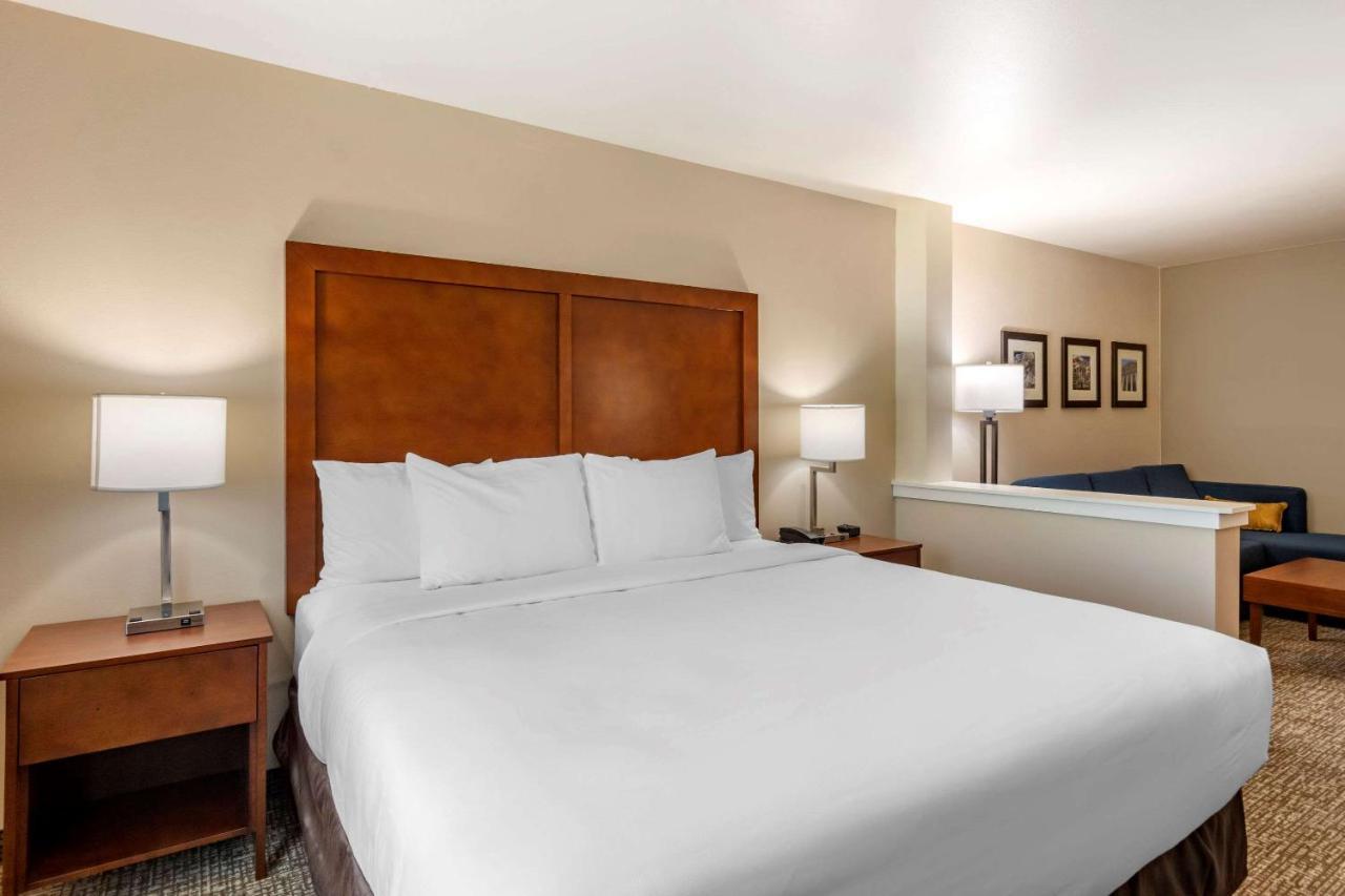 One Room Suite with Sofa bed - Non Smoking,1303410157:JPEG