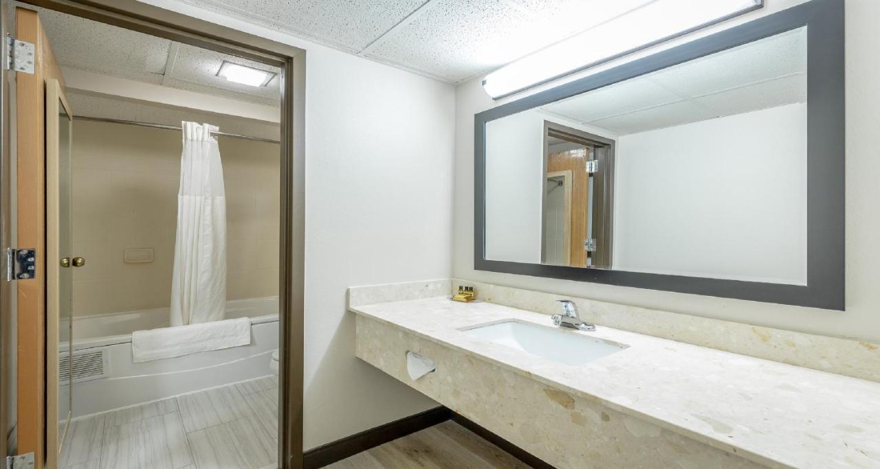 Double room -Non smoking / Pet friendly,1619767595:JPEG