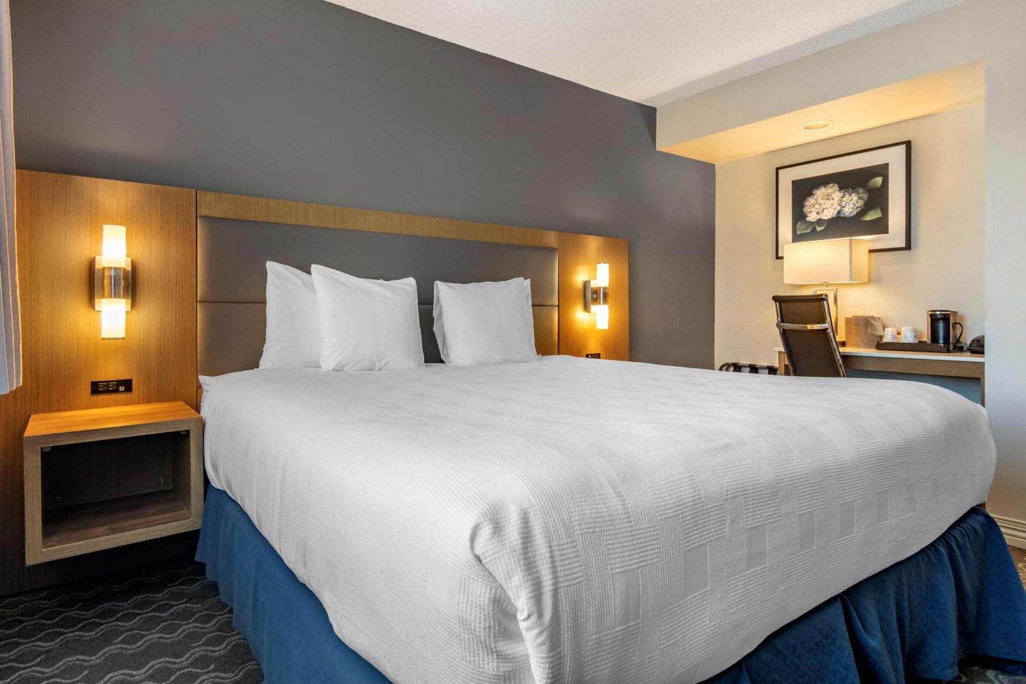 Executive King Room,1225388141:JPEG