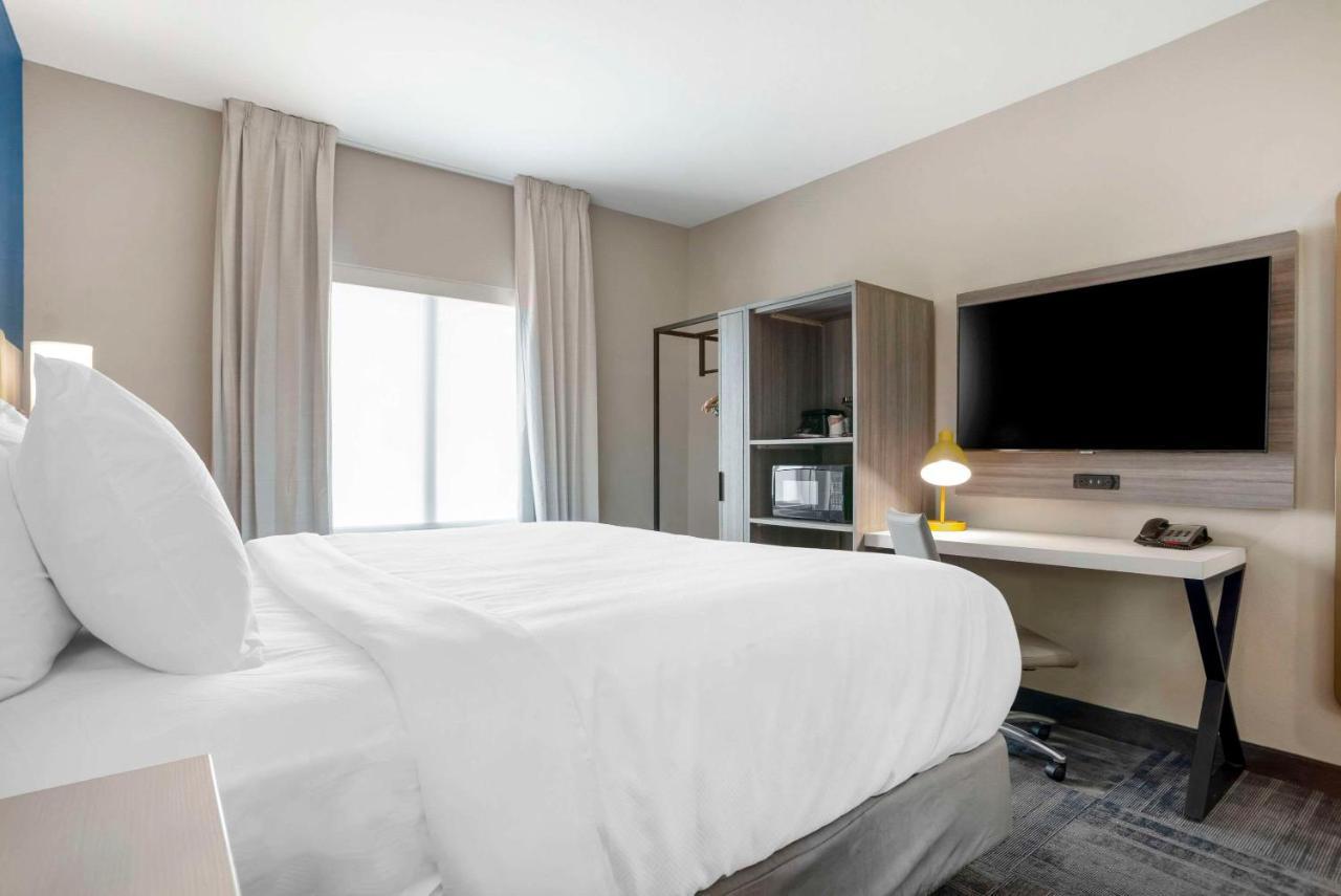 One Room Suite - Non Smoking