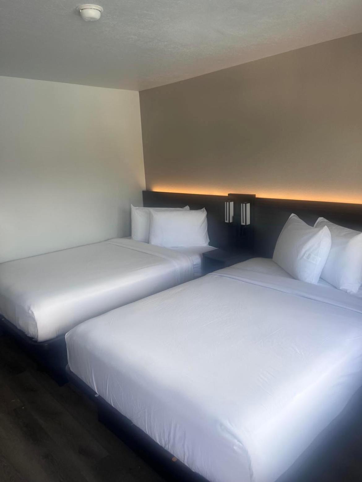 Quadruple Room,1553071510:JPEG