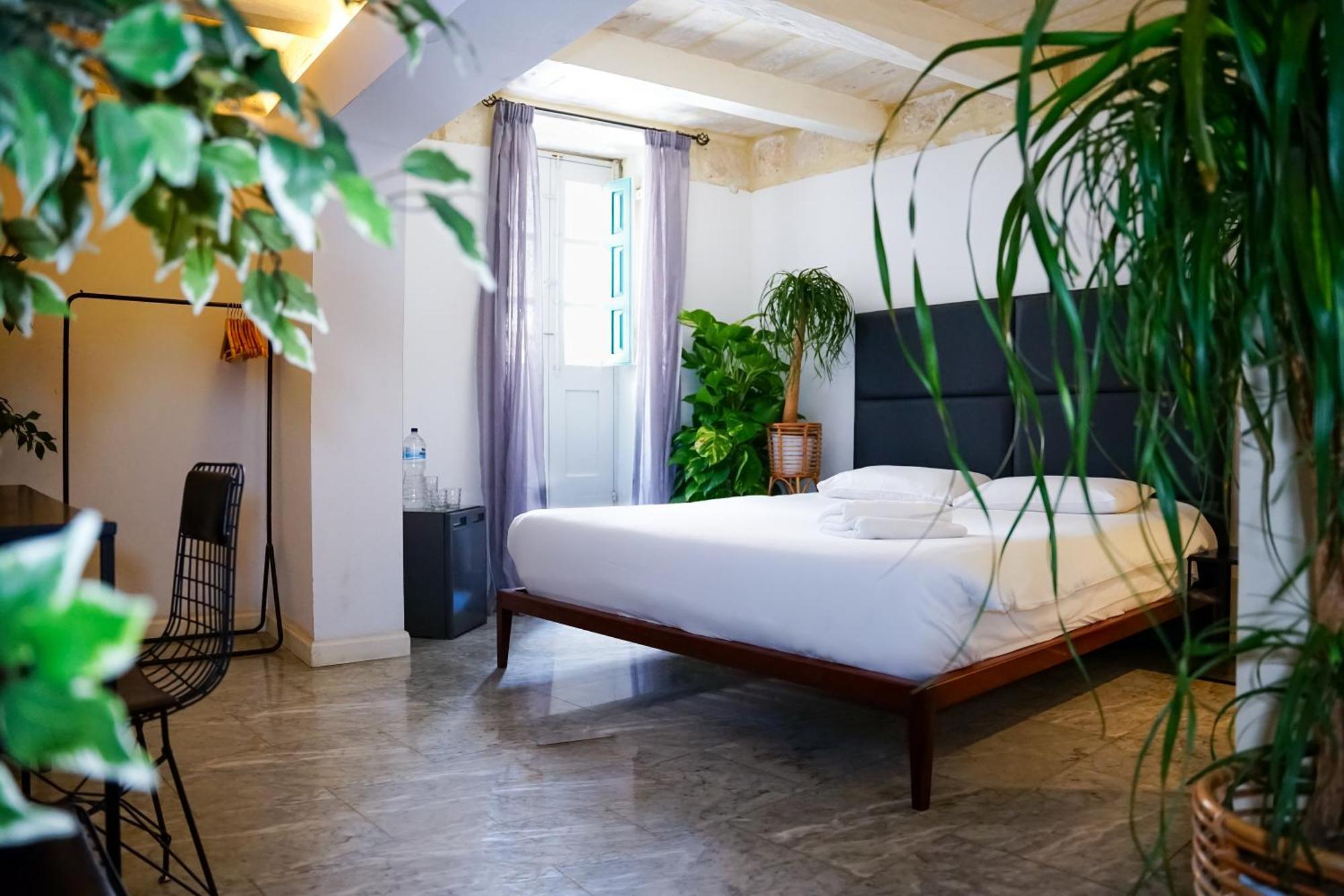 Deluxe King Suite