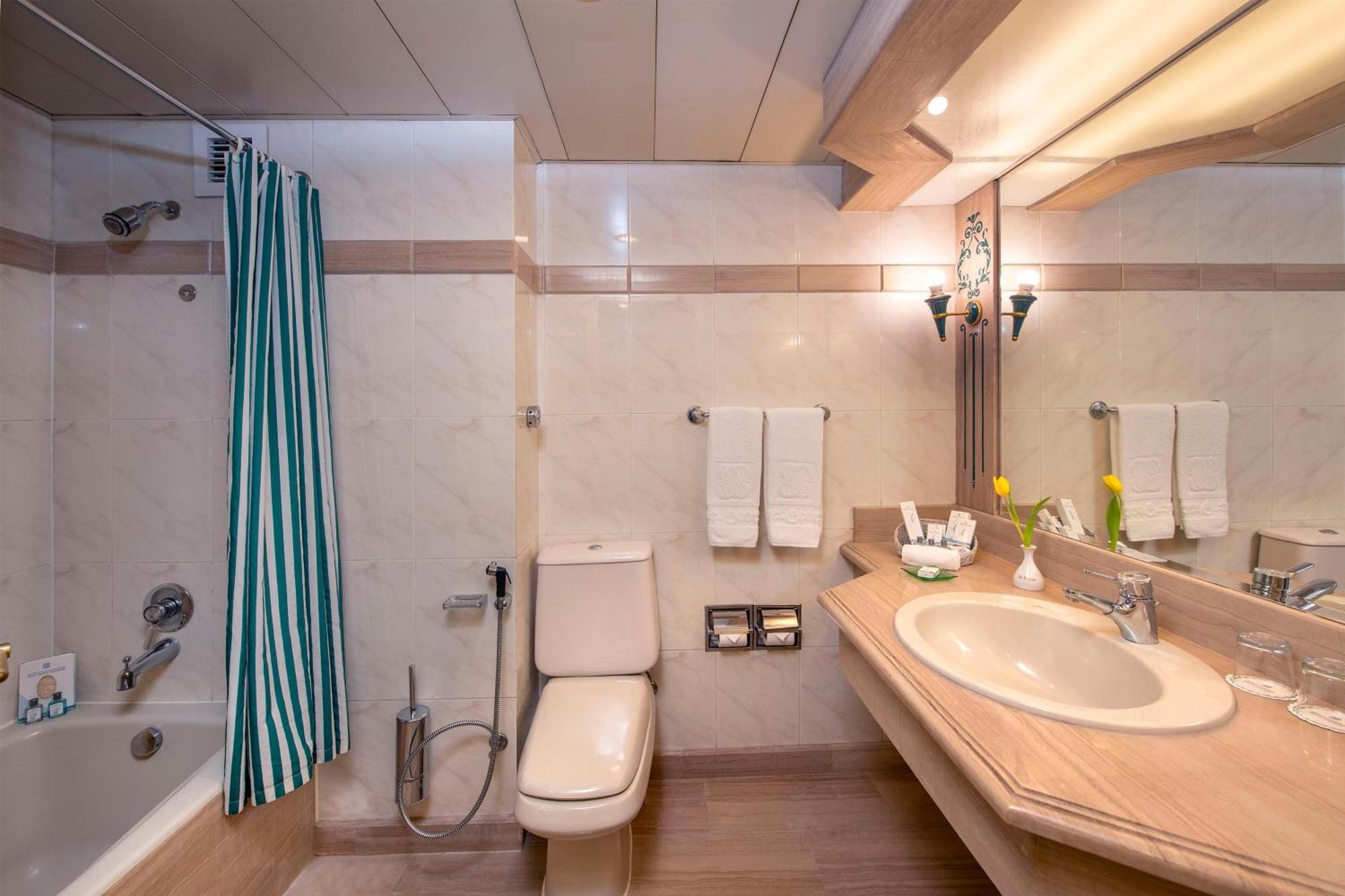 Standard Side Nile View Double or Twin Room