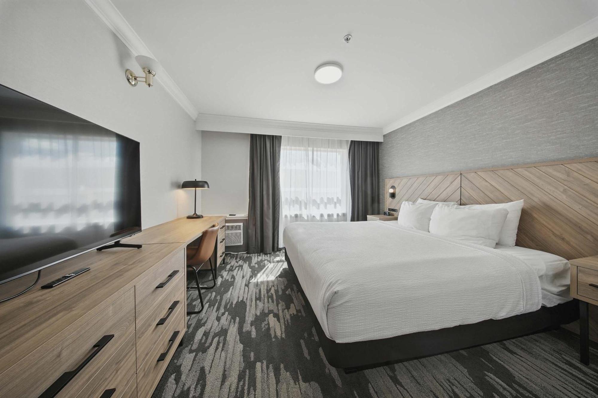Standard Suite, 1 King Bed, Sofa Bed, Kitchenette