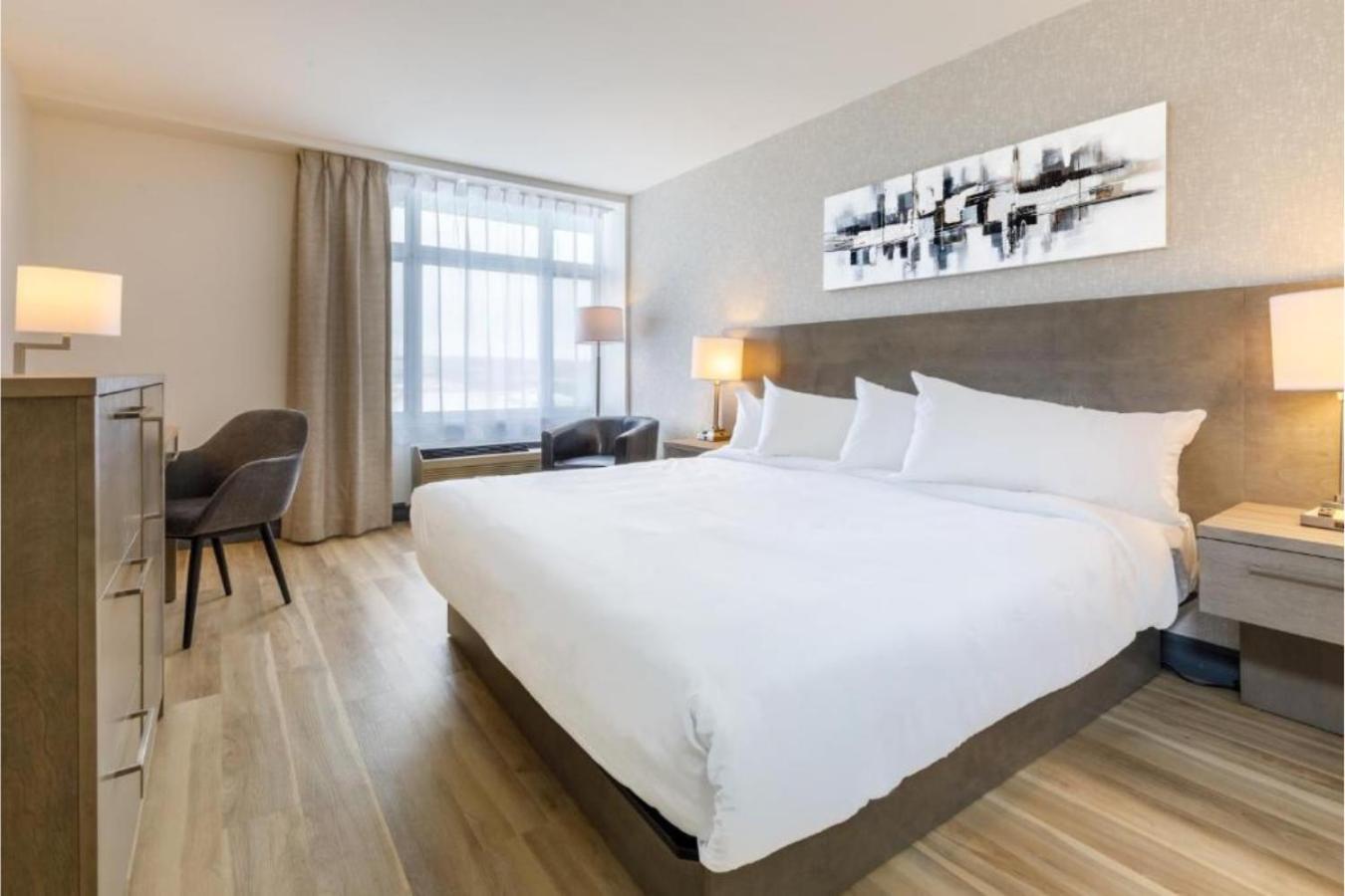 Standard Room 1 King Bed