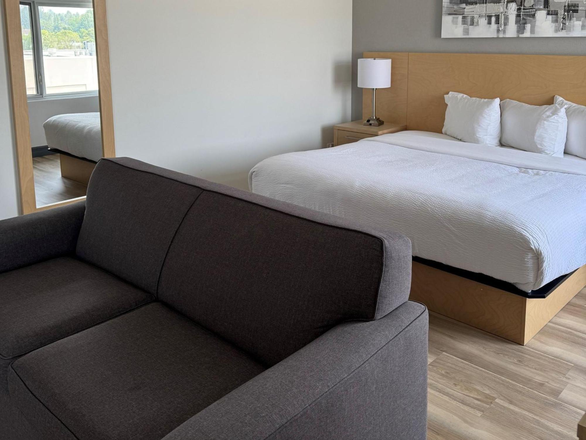 Standard Room 1 King Bed