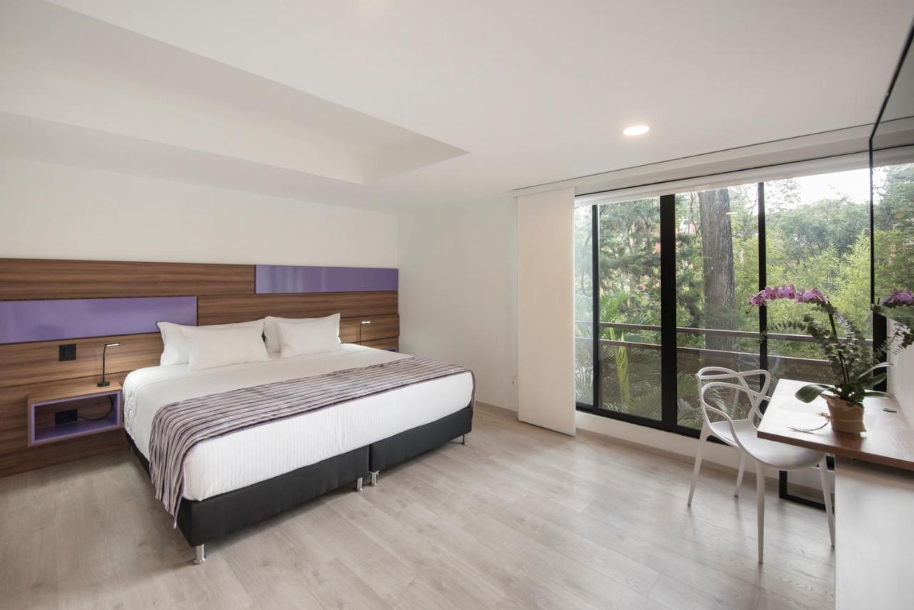 Superior Double Room,756744391:JPEG