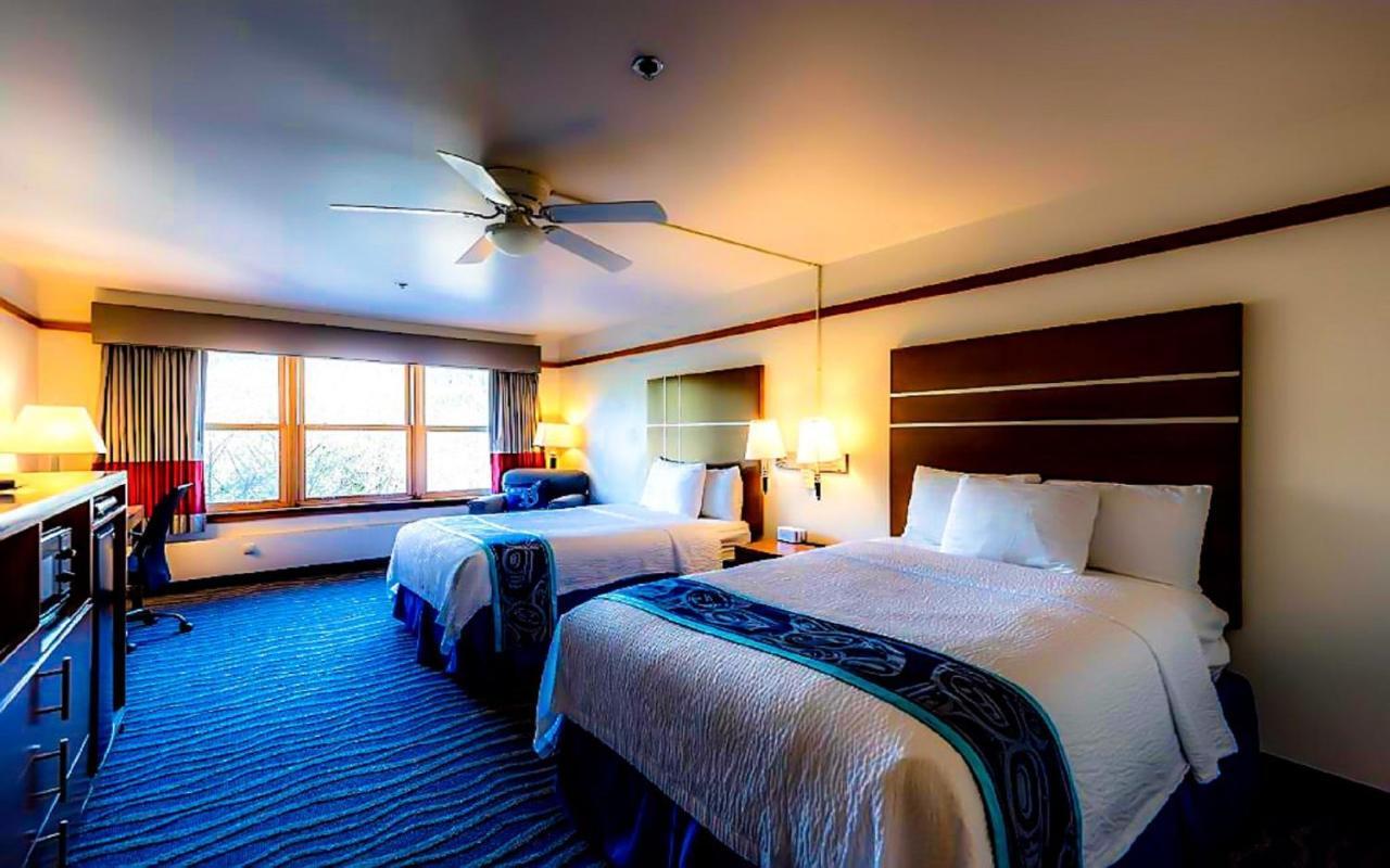 Standard Double Room,933023725:JPEG