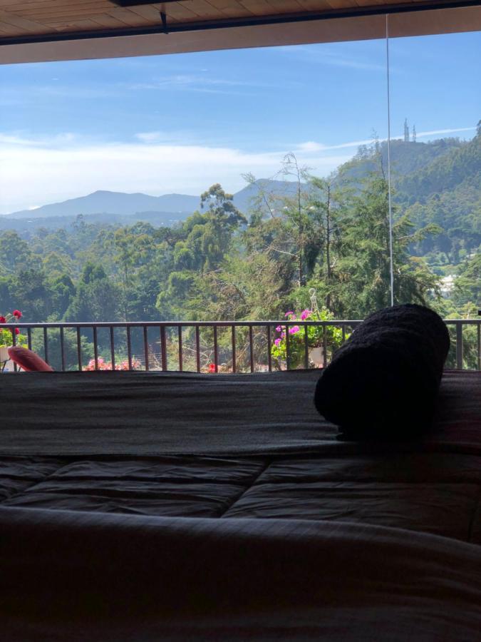 King Room Mountain View