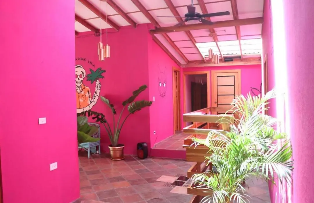 Planet B Hostel - Adults Only-1
