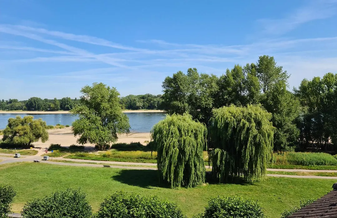 Villahotel Rheinblick-1