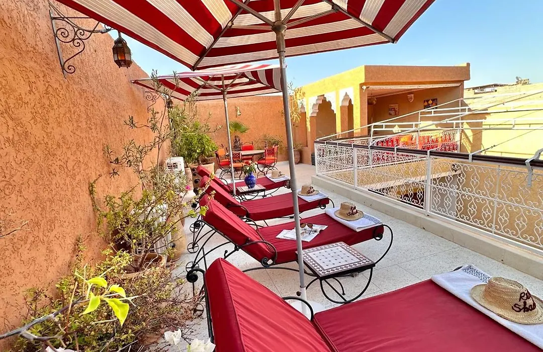Riad Shaden-1