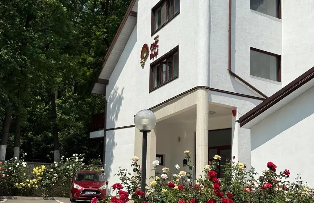 Hotel Ciric-1