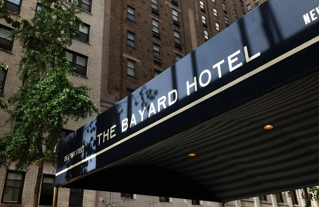 The Bayard-1