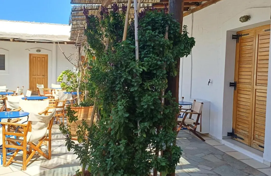 Siroco'S Rooms And Studios-1