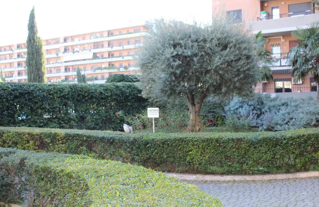 B&B le Pleiadi Aeroporto Fiumicino-1