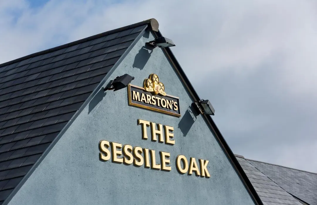 Sessile Oak, Llanelli By Marston'S Inns-1