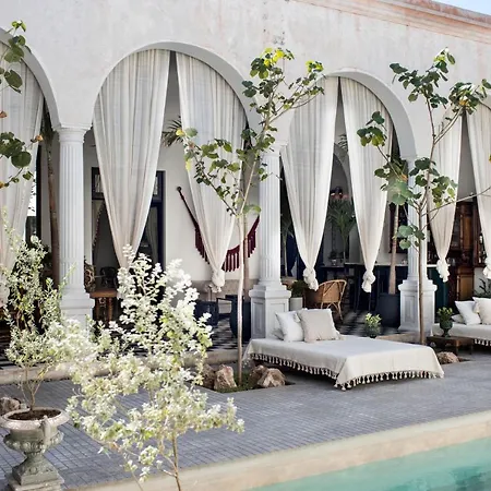 Casa Olivia-3