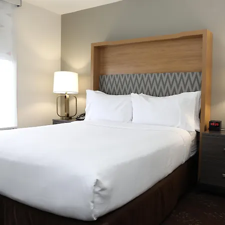 Holiday Inn O'Hare Area By Ihg-3