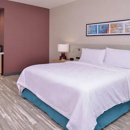 Hilton Garden Inn Kansas City Airport Mo-3