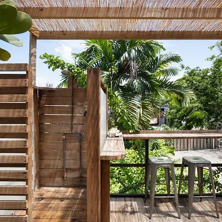Casa Botanica-2