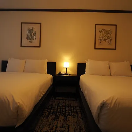 Night Hotel Broadway-2