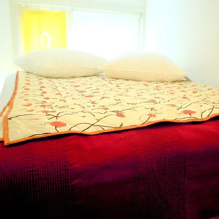 Missortelia B&B-3