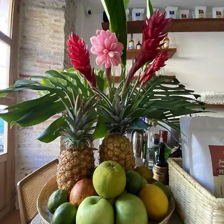 Casa Jaguar Hotel Boutique-3