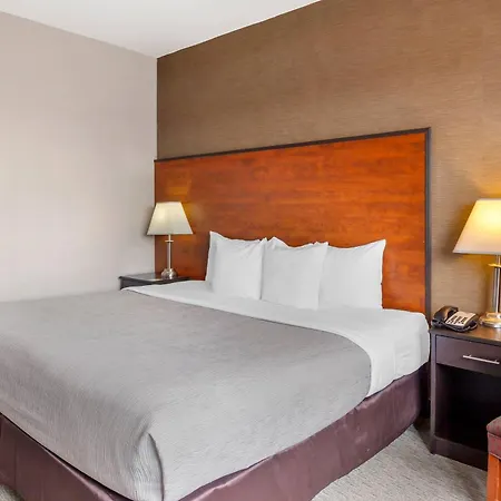 Quality Inn Toronto Airport-2