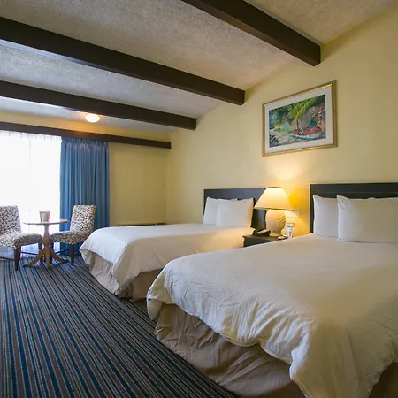 The Hollywood Gateway Inn-2