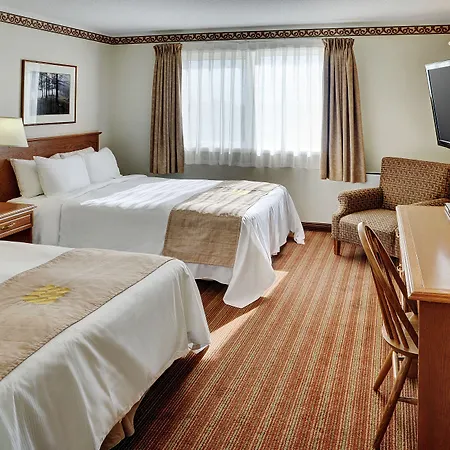 Lakeview Inns & Suites - Brandon-3