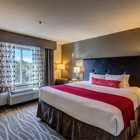 Best Western Plus Nashville Airport Hotel - Bna-2