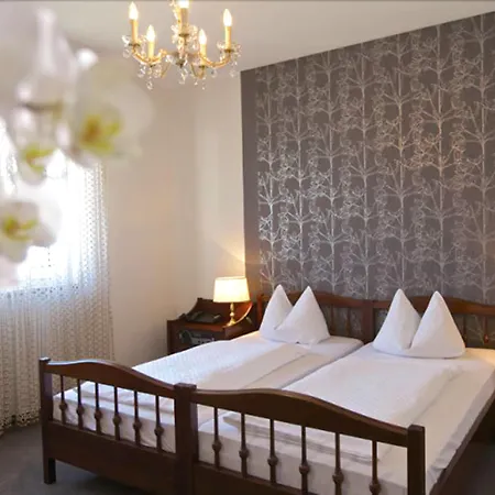 Hotel Garni Geisler-3