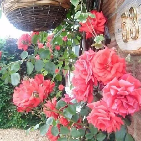 Rosa'S Bed And Breakfast-3