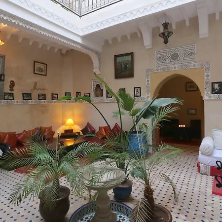 Riad Maissoun-2