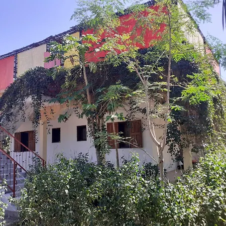 Cap-Sénégal-3