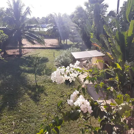 Cap-Sénégal-2