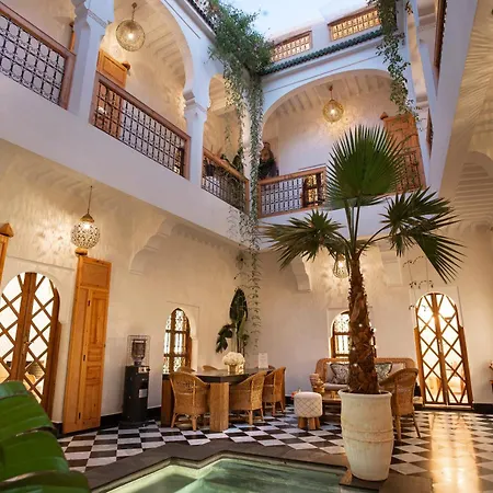 Riad LallaBaya-2
