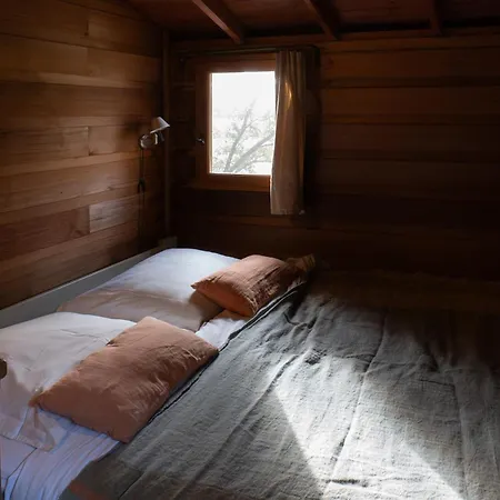 Orion Treehouses-2