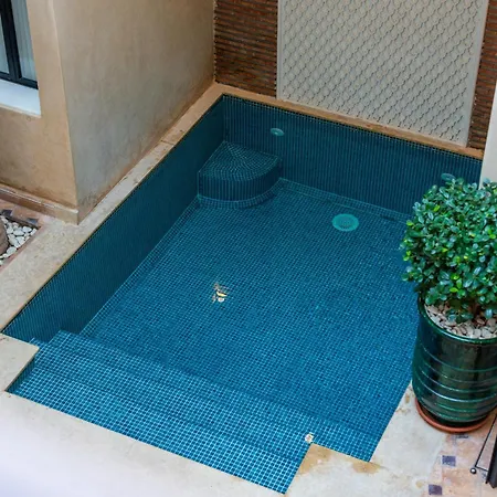 Riad Beldi-3