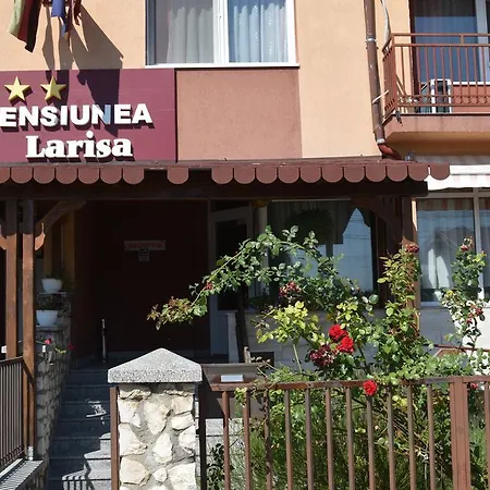 Pensiunea Larisa-2
