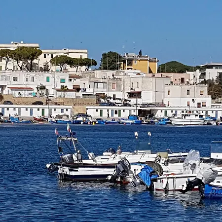 La nassa fitta camere-2