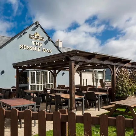 Sessile Oak, Llanelli By Marston'S Inns-2