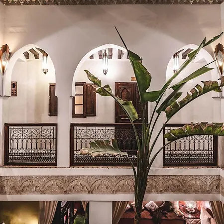 Riad Aguaviva-2